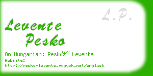 levente pesko business card